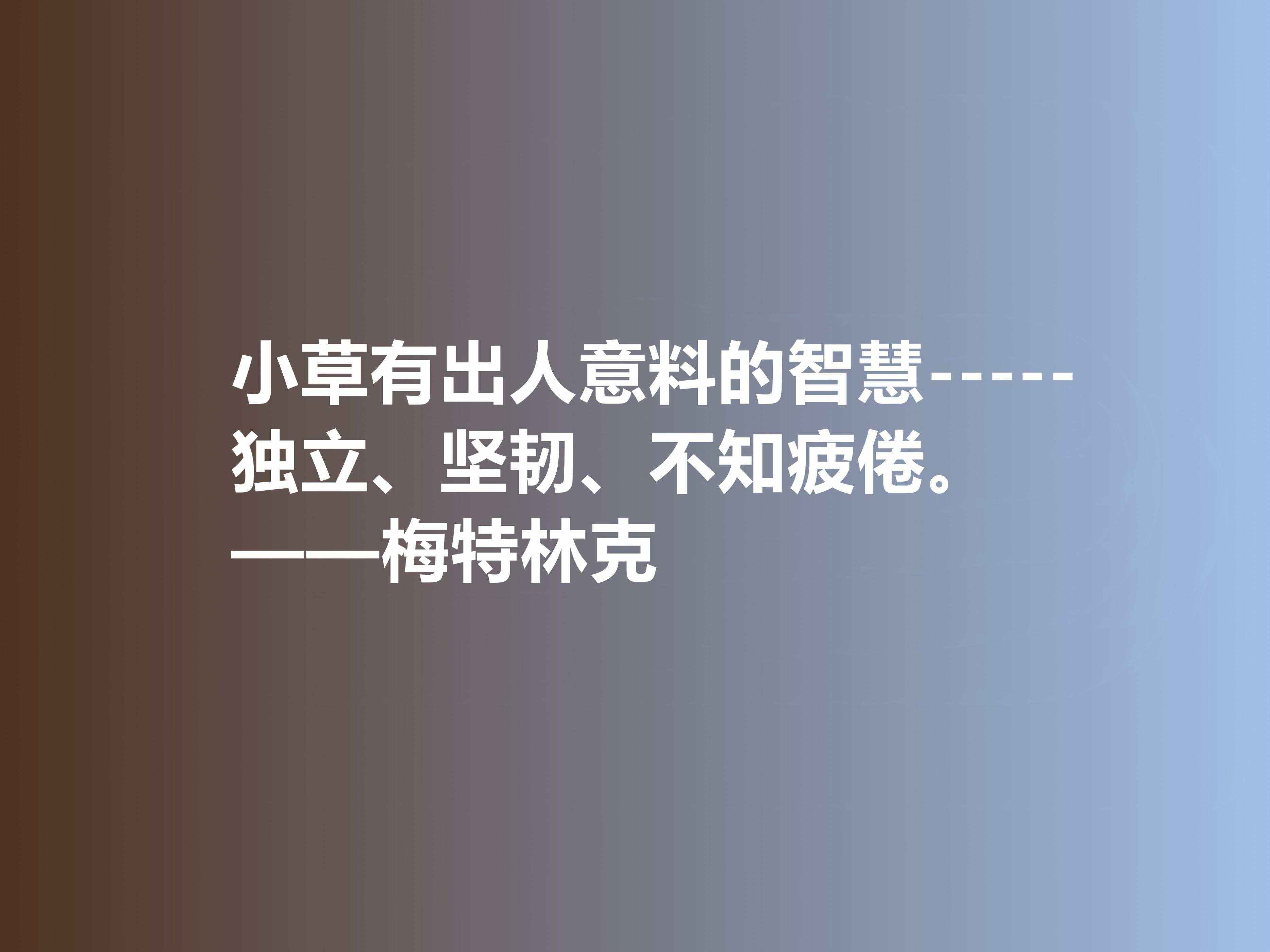 开云体育网页版入口-比利时在最后时刻逆转瑞士，出人意料地晋级