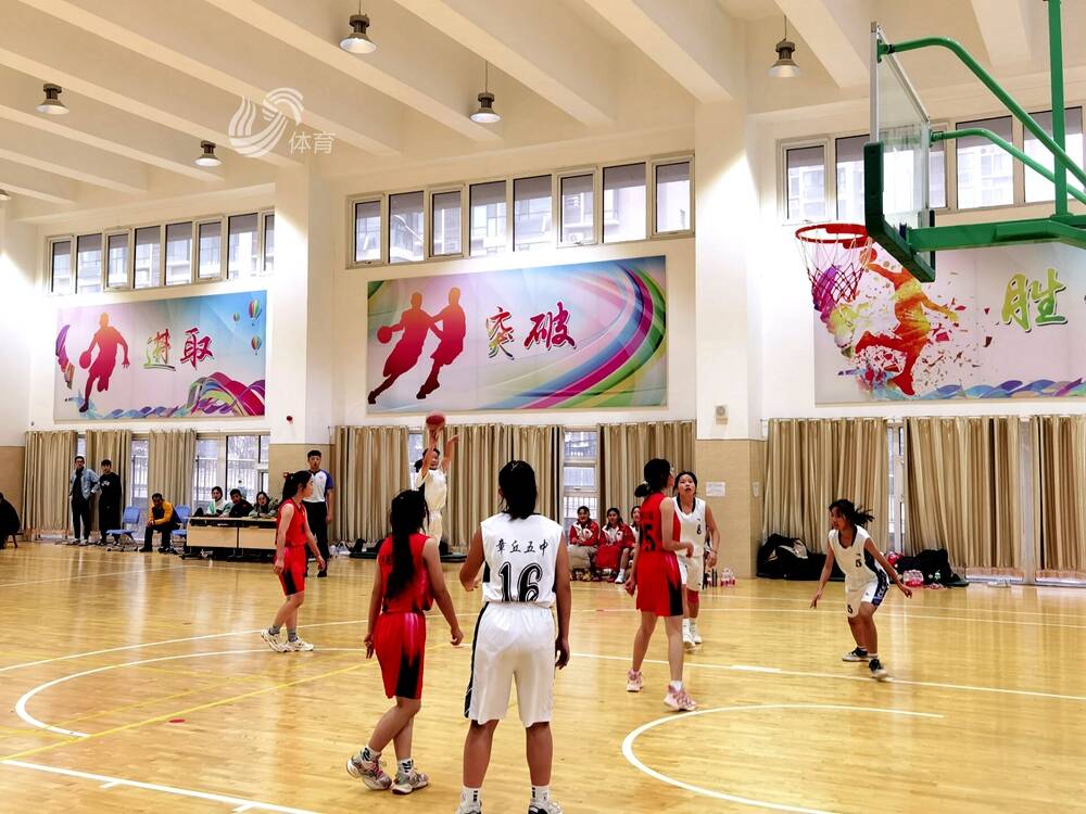 职业篮球联赛南部区域内战事不断的简单介绍